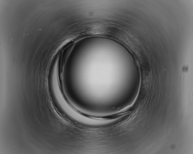 X0000098180530200804241223