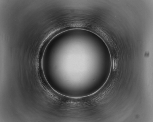 X0000098180531200804241223