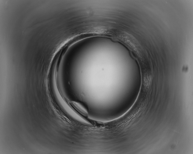 X0000098180532200804241223