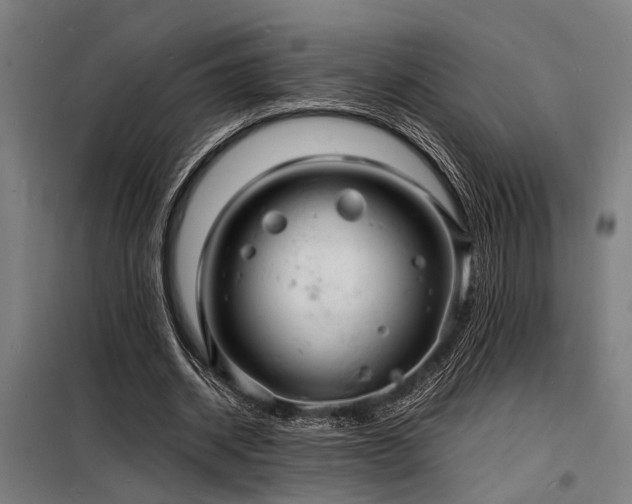 X0000098180534200804241223