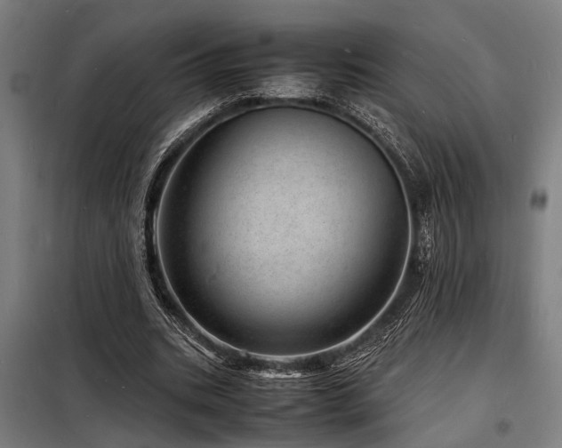 X0000098180535200804241223