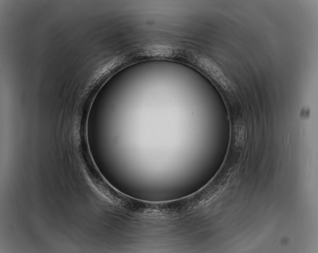 X0000098180538200804241224