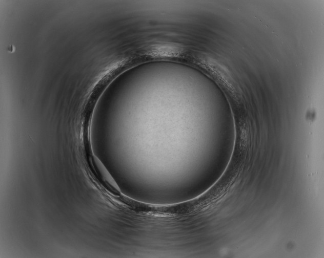 X0000098180539200804241224