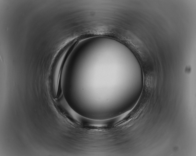 X0000098180540200804241224
