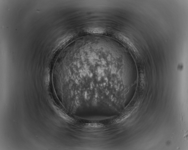 X0000098180541200804241224