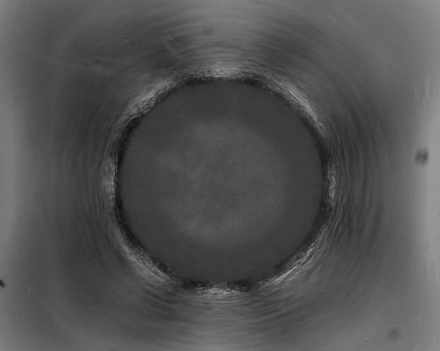 X0000098180542200804241224