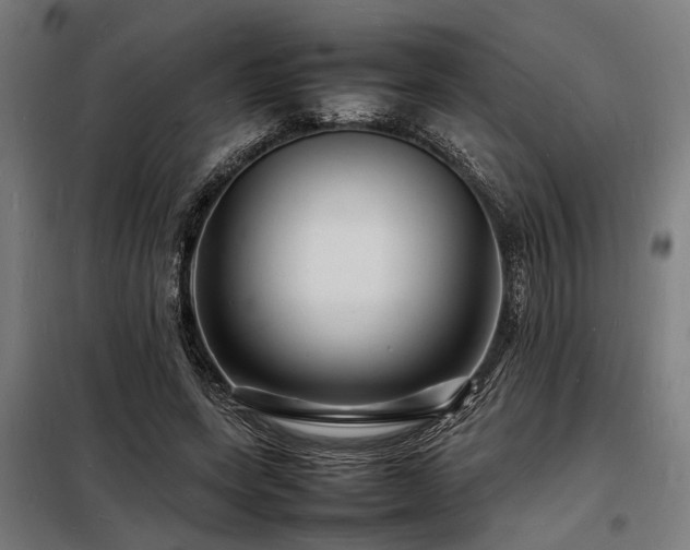 X0000098180543200804241224