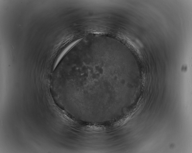 X0000098180545200804241224