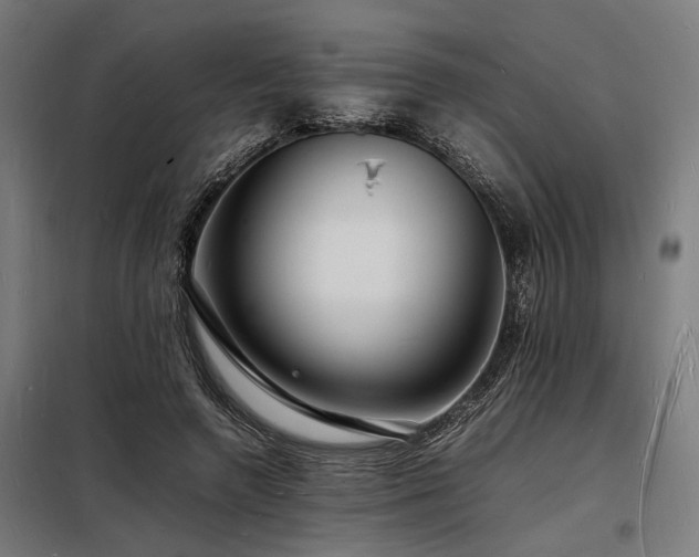 X0000098180546200804241224
