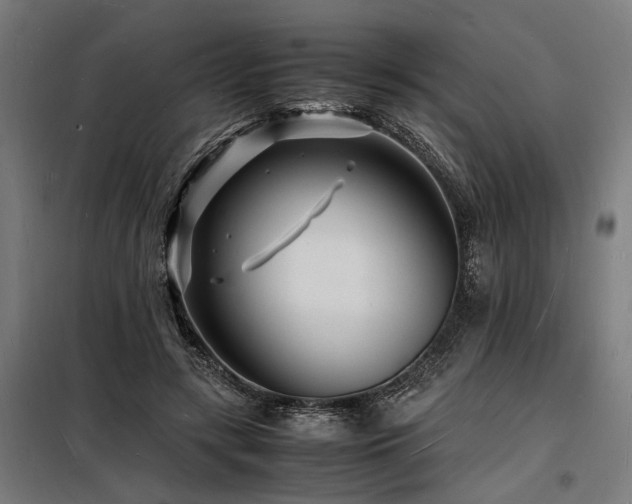 X0000098180547200804241224