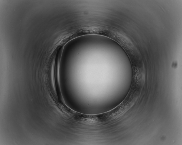 X0000098180548200804241224