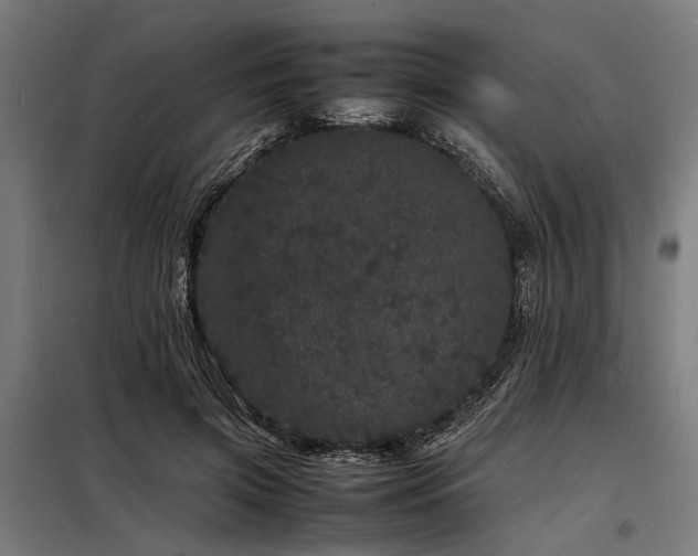 X0000098180549200804241224