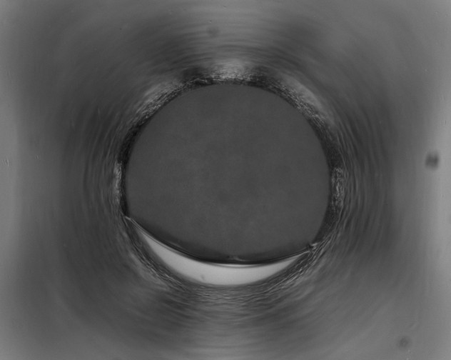 X0000098180550200804241224