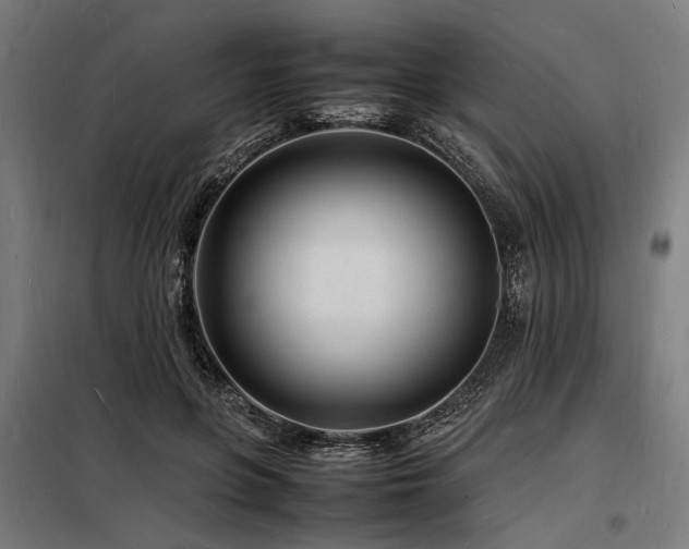 X0000098180551200804241224