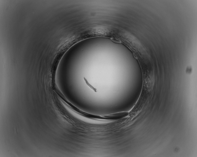 X0000098180552200804241224