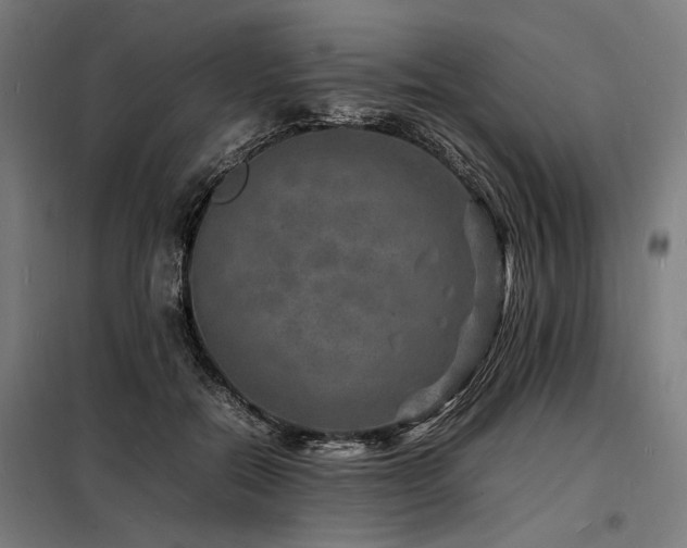 X0000098180554200804241224