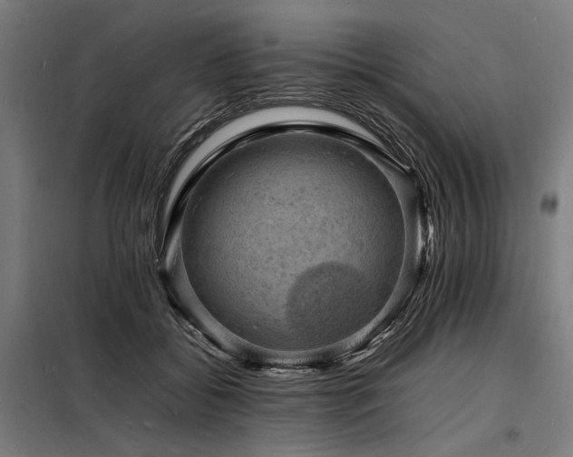 X0000098180556200804241224
