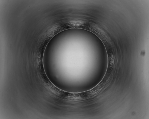 X0000098180559200804241224
