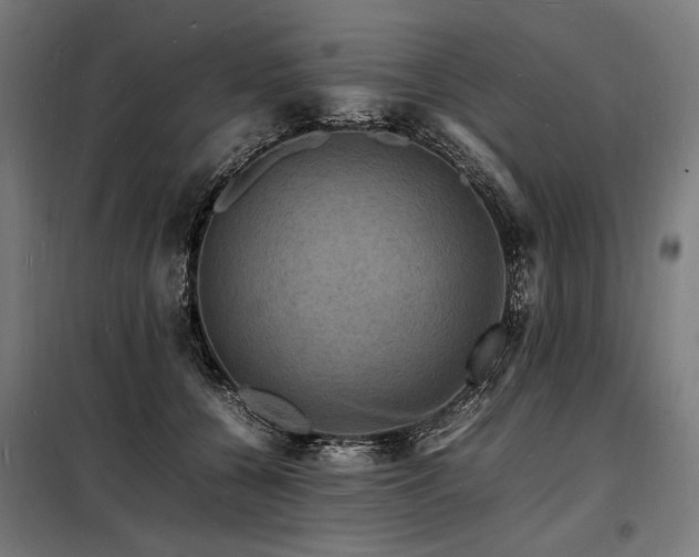 X0000098180560200804241224