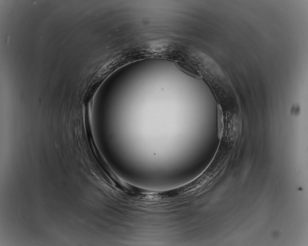 X0000098180562200804241224