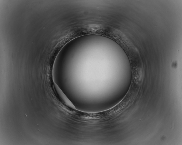 X0000098180563200804241224