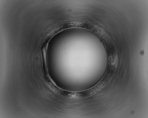 X0000098180564200804241224