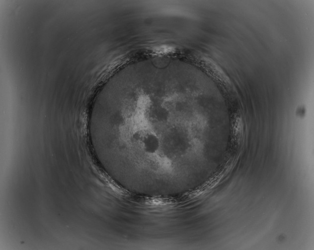 X0000098180565200804241224
