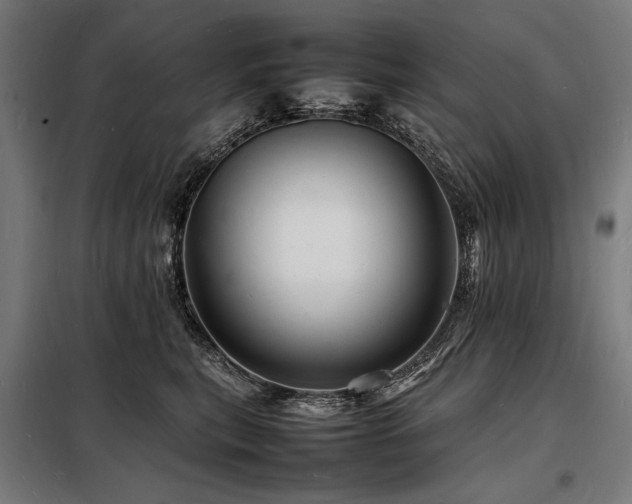 X0000098180567200804241224