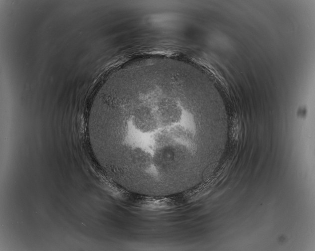 X0000098180569200804241224