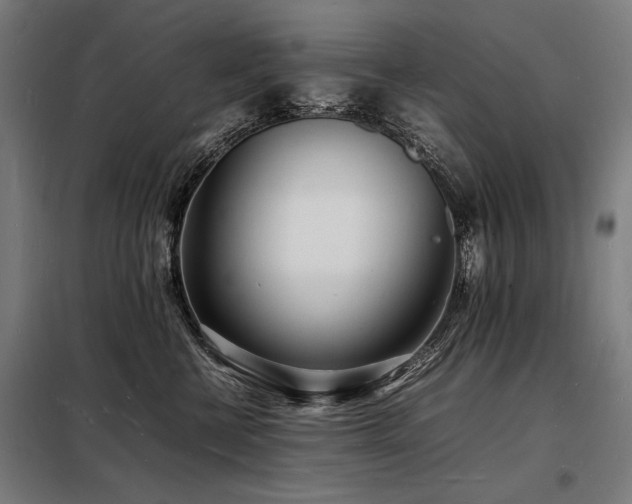 X0000098180570200804241224