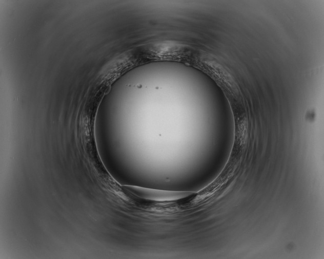 X0000098180571200804241224