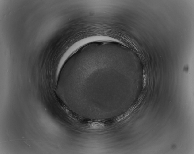 X0000098180572200804241224