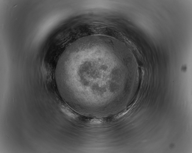 X0000098180574200804241224