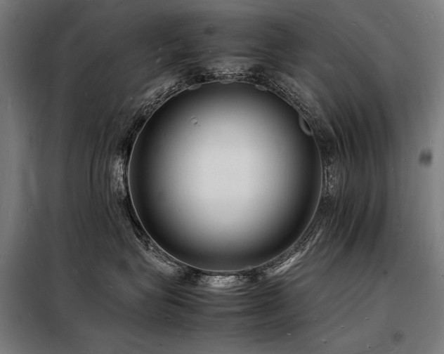 X0000098180575200804241224