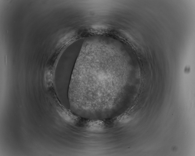X0000098180576200804241224