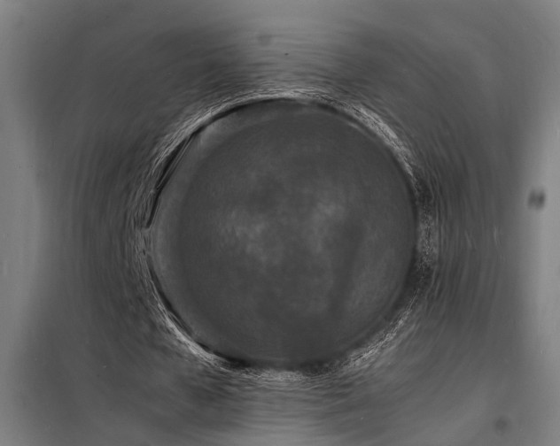 X0000098180577200804241223
