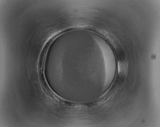 X0000098180579200804241223