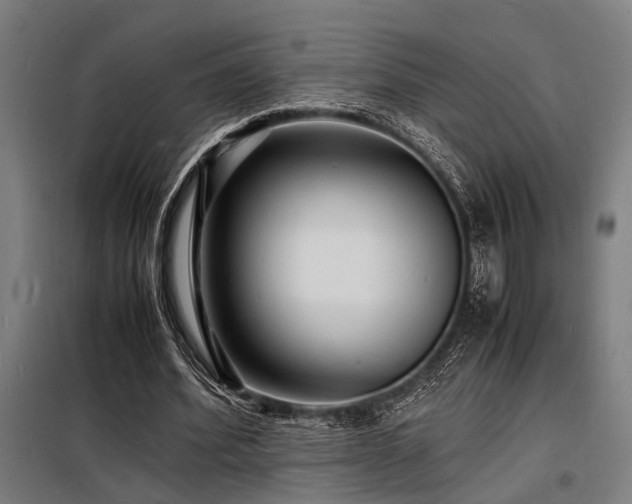 X0000098180580200804241223