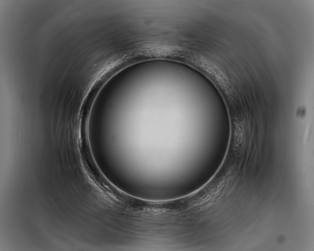 X0000098180582200804241223