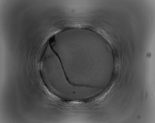 X0000098180585200804241223