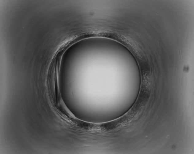 X0000098180587200804241223