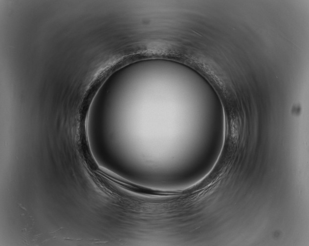 X0000098180588200804241223