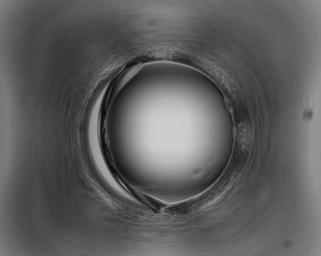 X0000098180589200804241223