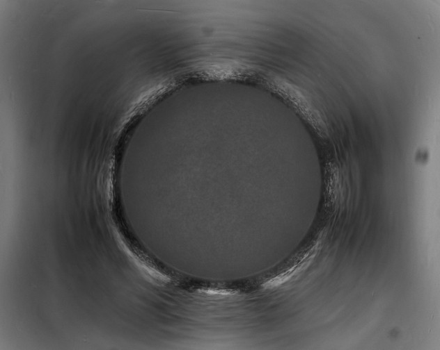 X0000098180590200804241223
