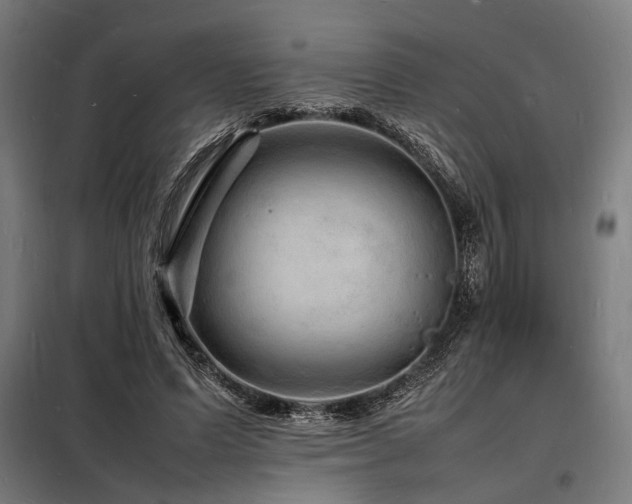 X0000098180591200804241223
