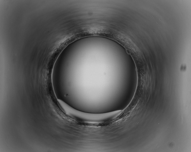 X0000098180592200804241223