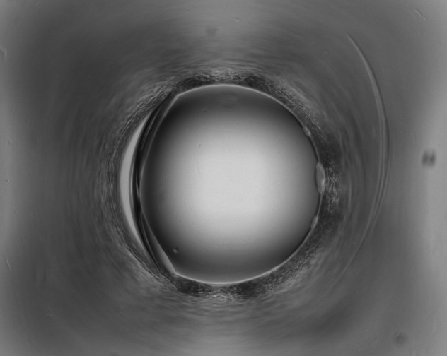 X0000098180593200804241223
