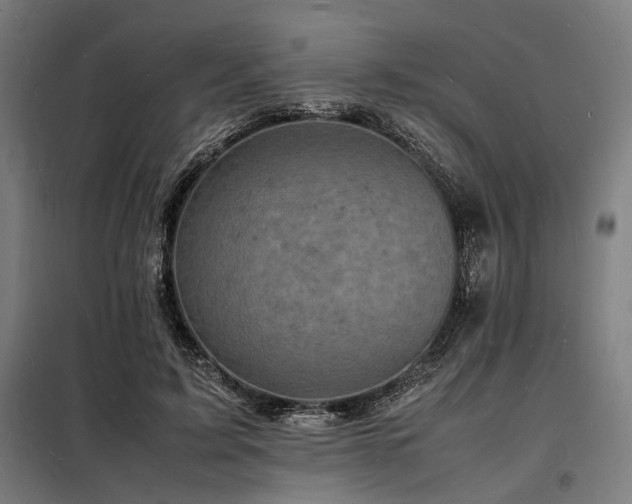 X0000098180595200804241223