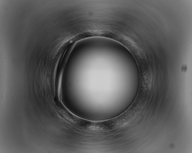 X0000098180596200804241223