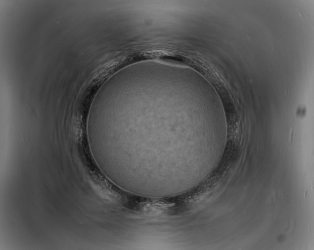 X0000098180599200804241223